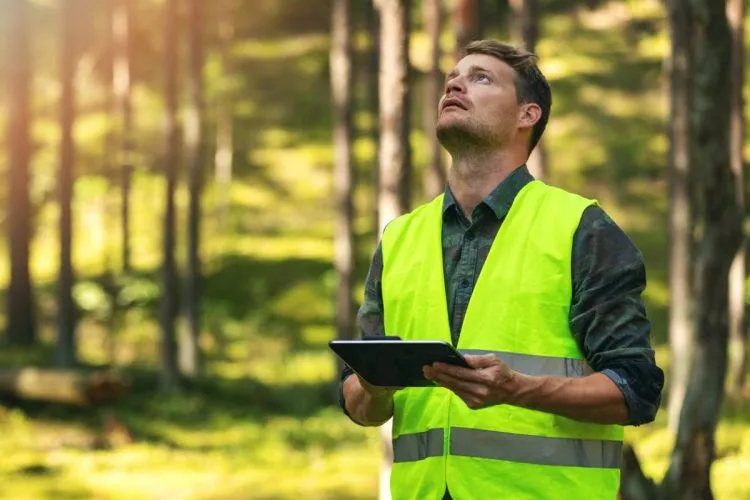 Quel est le meilleur master pour travailler dans l’environnement ?
