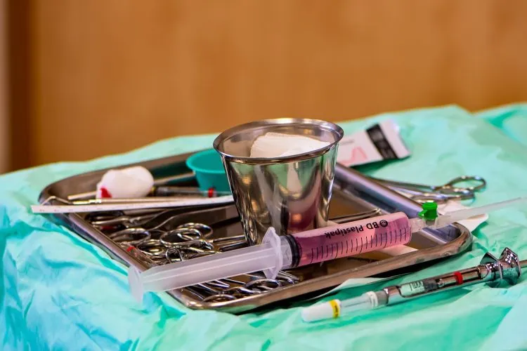 Les études d’odontologie (chirurgie dentaire)