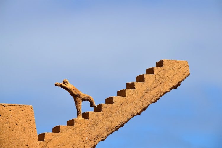 4 étapes pour un elevator pitch qui fait mouche !