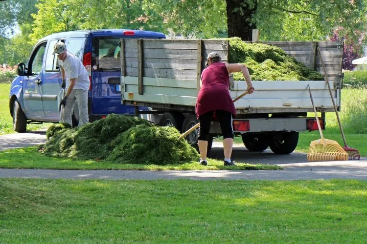 Tout savoir sur le métier d’un jardinier paysagiste