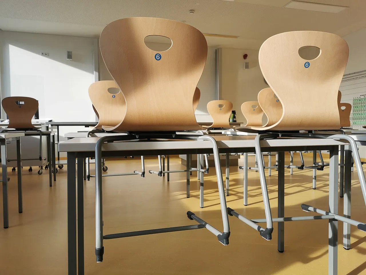 Comment réussir sa formation STMG : Conseils et Astuces