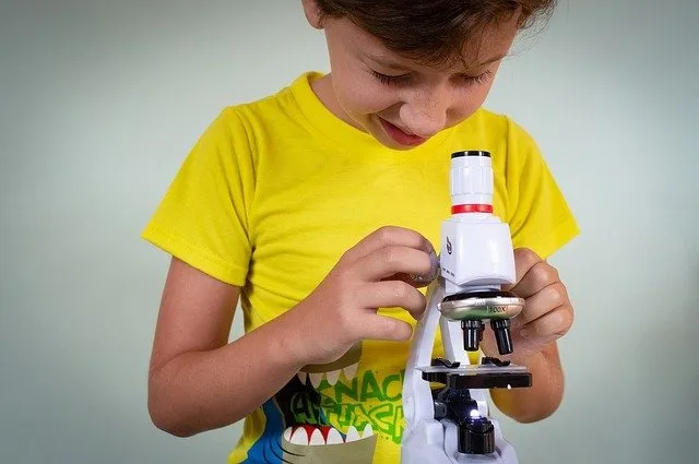 Matières scientifiques : des cours en ligne pour les enfants