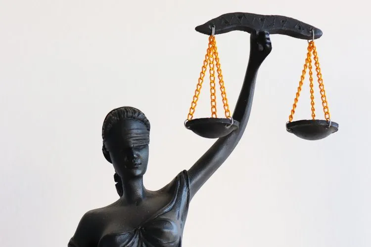 Pourquoi choisir une école de droit plutôt qu’une université?