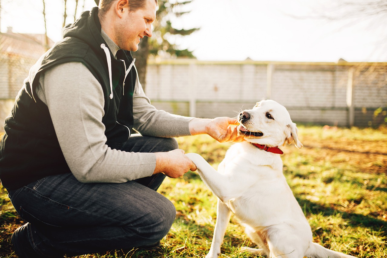Les clés de l’éducation canine avec les conseils d’Esprit Dog