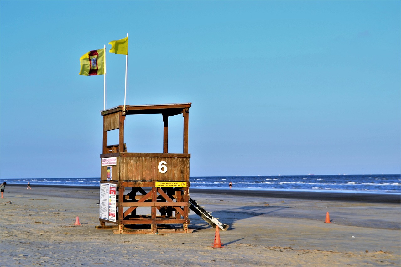 Le BNSSA : le diplôme indispensable pour devenir maître-nageur et sauveteur
