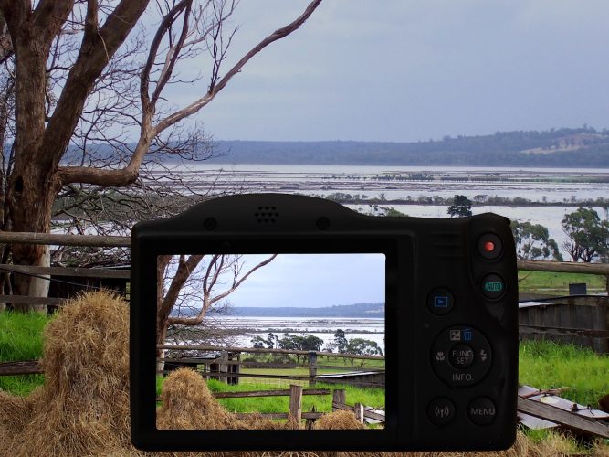 5 sources de photos gratuites que les enseignants peuvent utiliser pour leurs cours en ligne