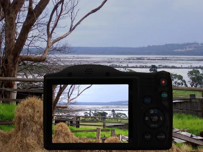 5 sources de photos gratuites que les enseignants peuvent utiliser pour leurs cours en ligne
