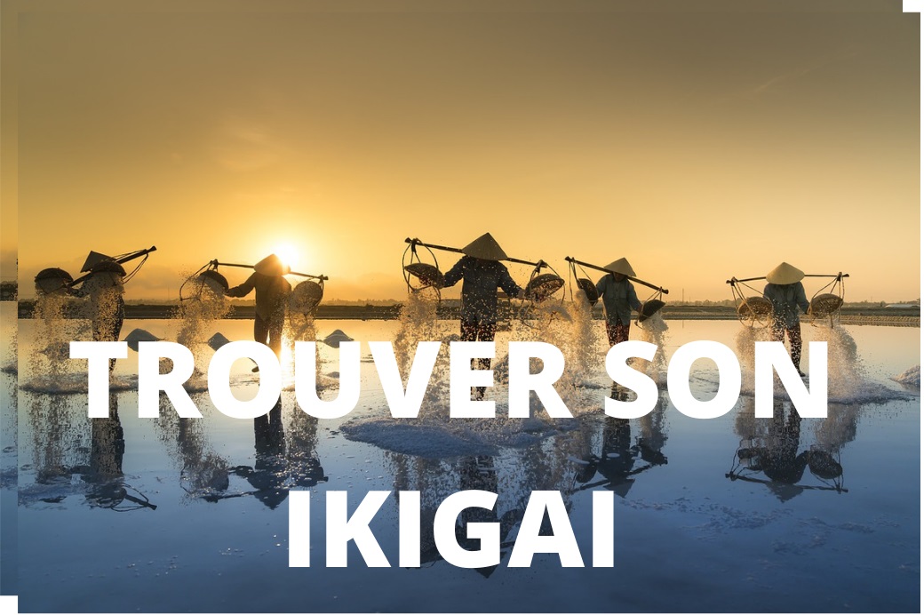 Guide du débutant pour trouver son Ikigai