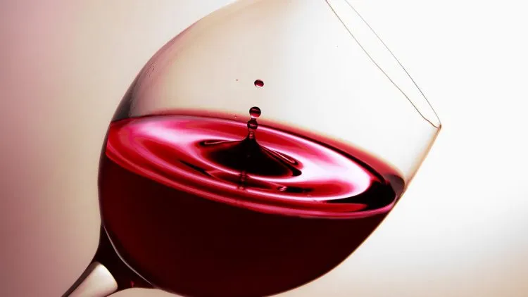 Écoles des vins et spiritueux : les raisons de s’inscrire