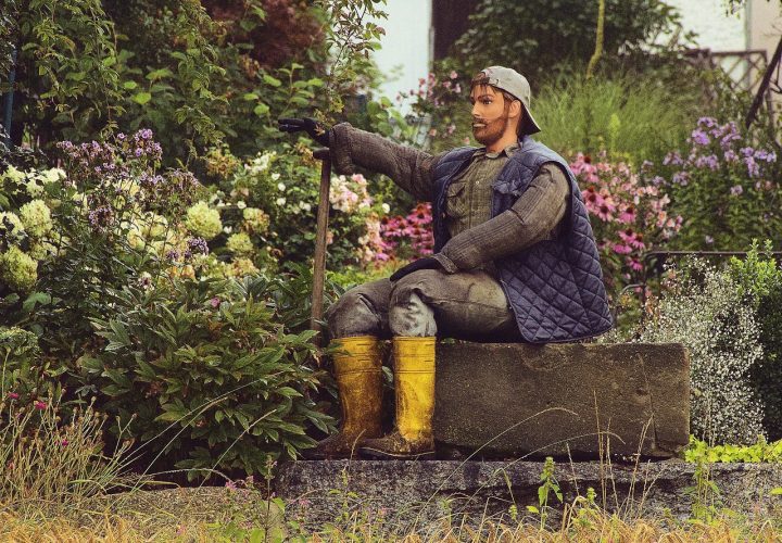 Devenez jardinier-paysagiste