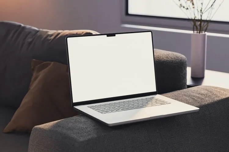 Quel est le rôle d’un Webdesigner ?