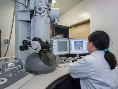A_quoi_sert_un_microscope_électronique_à_transmission_?