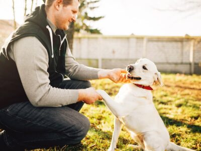 Les_clés_de_l_éducation_canine_avec_les_conseils_d_Esprit_Dog